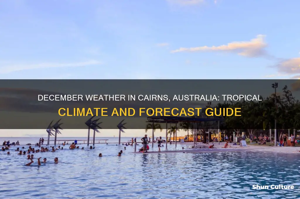 what is the weather like in cairns australia in december