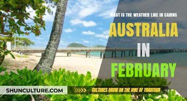 February Weather in Cairns: Tropical Climate and Rainfall Patterns Explained