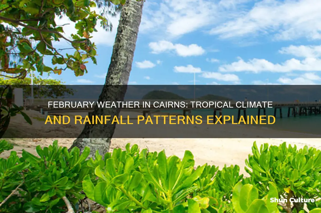 what is the weather like in cairns australia in February