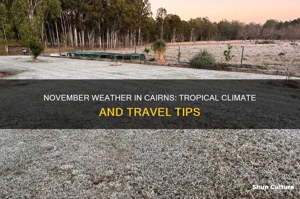 what is the weather like in cairns australia in november