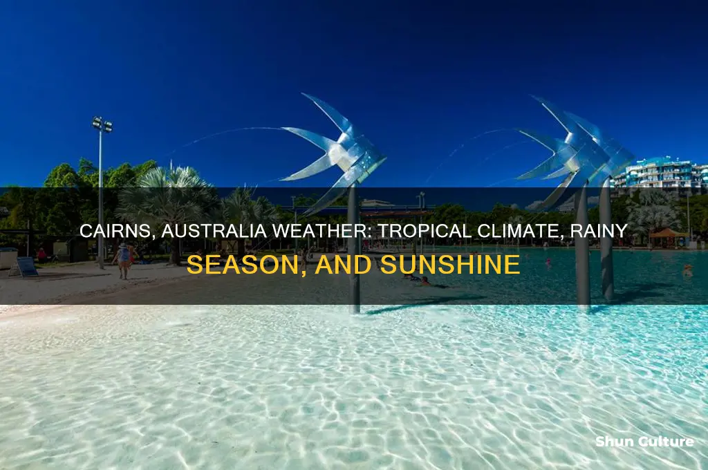 what is the weather like in cairns australia