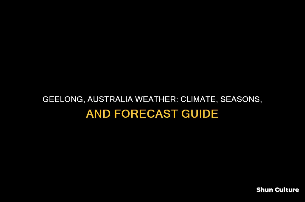 what is the weather like in geelong australia
