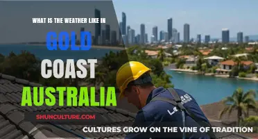 Gold Coast Weather Guide: Climate, Seasons, and Forecast Insights