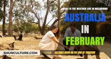 Melbourne's February Weather: Warm, Sunny, and Mild Conditions Explained