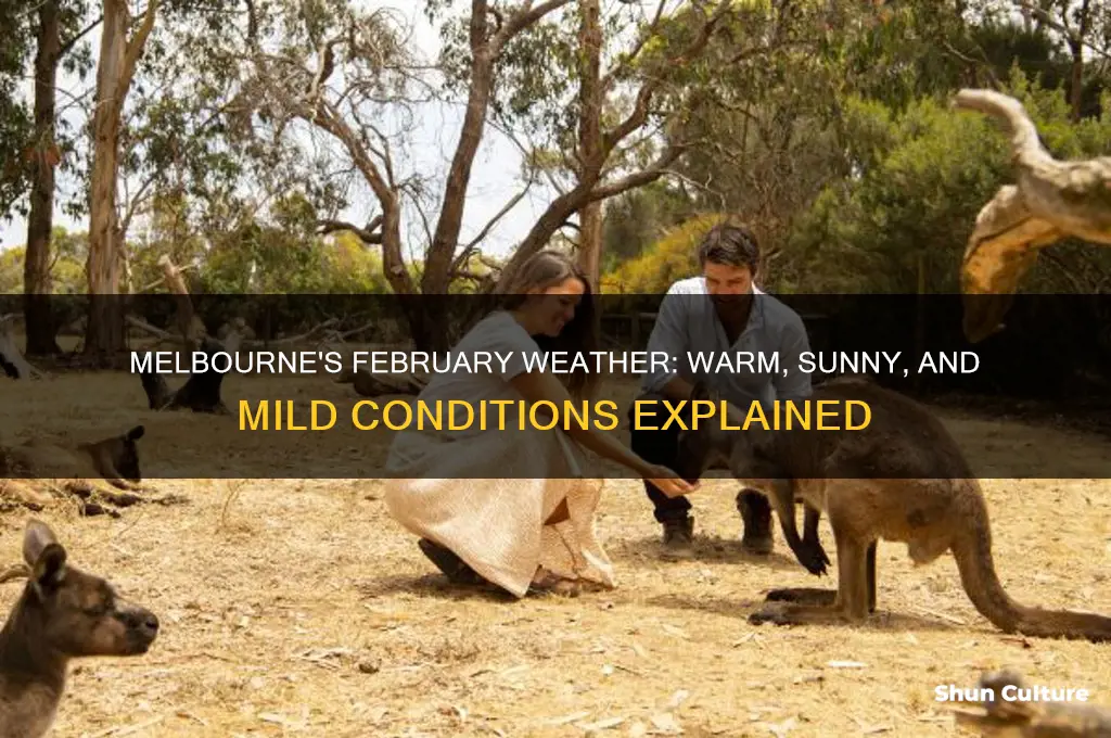 what is the weather like in melbourne australia in February