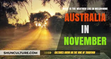 Melbourne's November Weather: Expect Sunny Days and Mild Temperatures