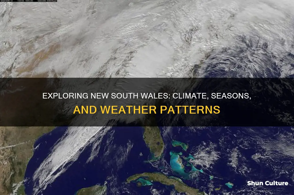 what is the weather like in new south wales australia