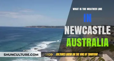 Newcastle, Australia's Climate: Sunny Skies, Coastal Breezes, and Seasonal Charm