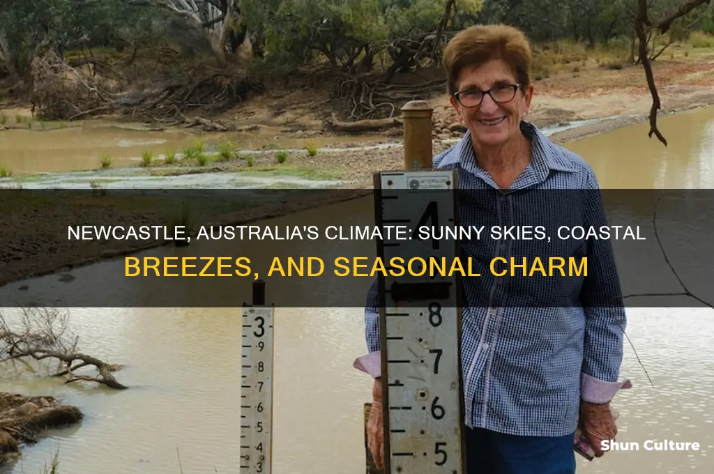 what is the weather like in newcastle australia