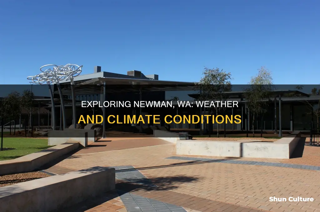 what is the weather like in newman western australia