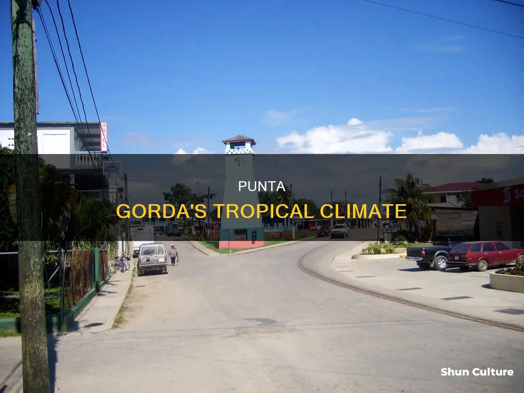 what is the weather like in punta gorda belize