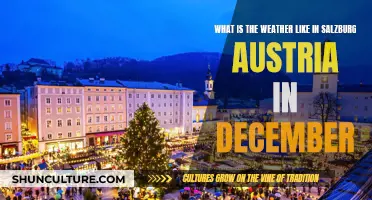 Winter Wonderland: Salzburg's December Climate Unveiled