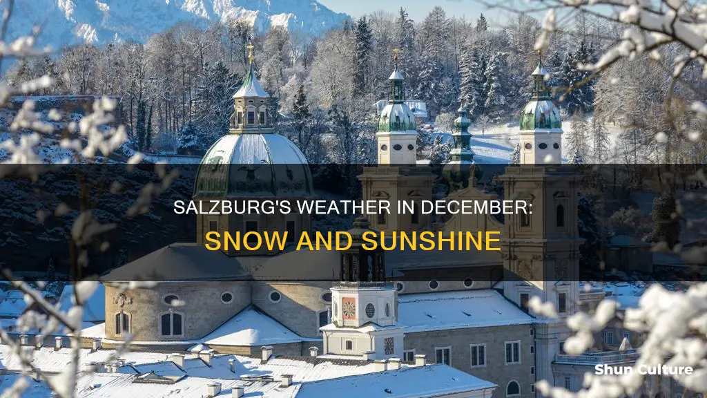 what is the weather like in salzburg austria in december