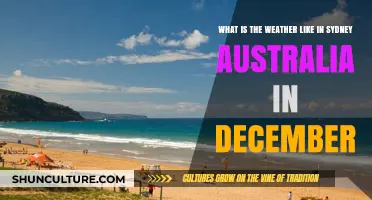 Sydney's December Weather: Warmth, Sunshine, and Summer Vibes Explained