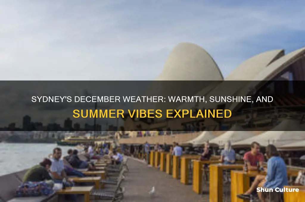 what is the weather like in sydney australia in december