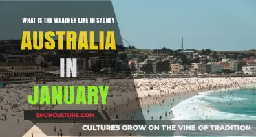 Sydney's January Weather: Warm, Sunny, and Beach-Ready Conditions Explained