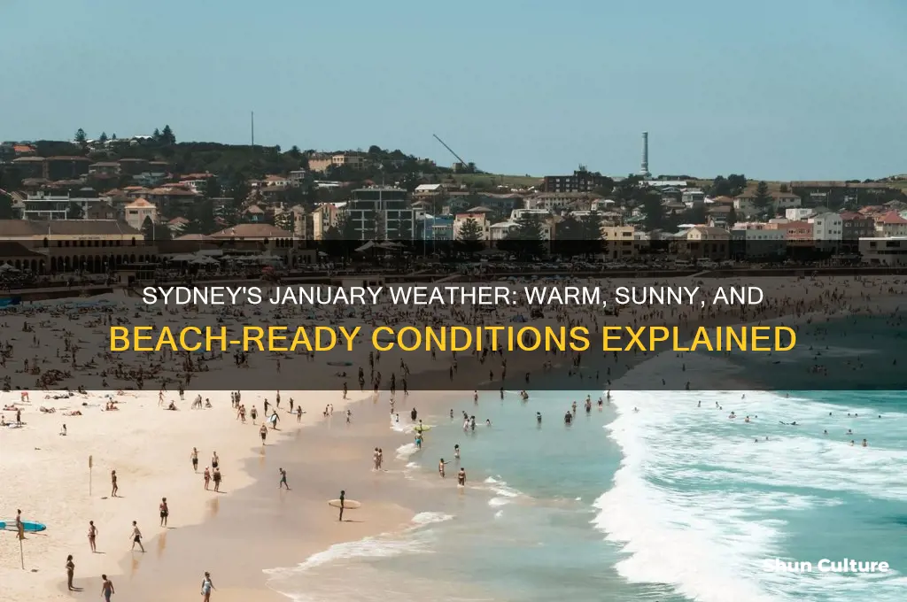 what is the weather like in sydney australia in january