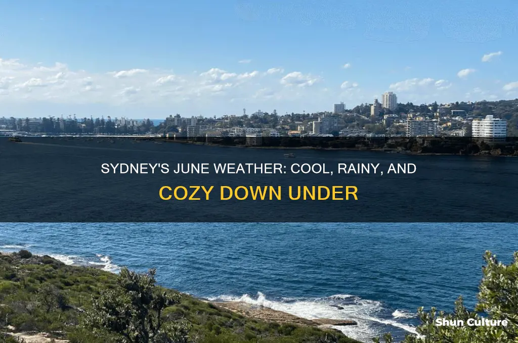 what is the weather like in sydney australia in jun