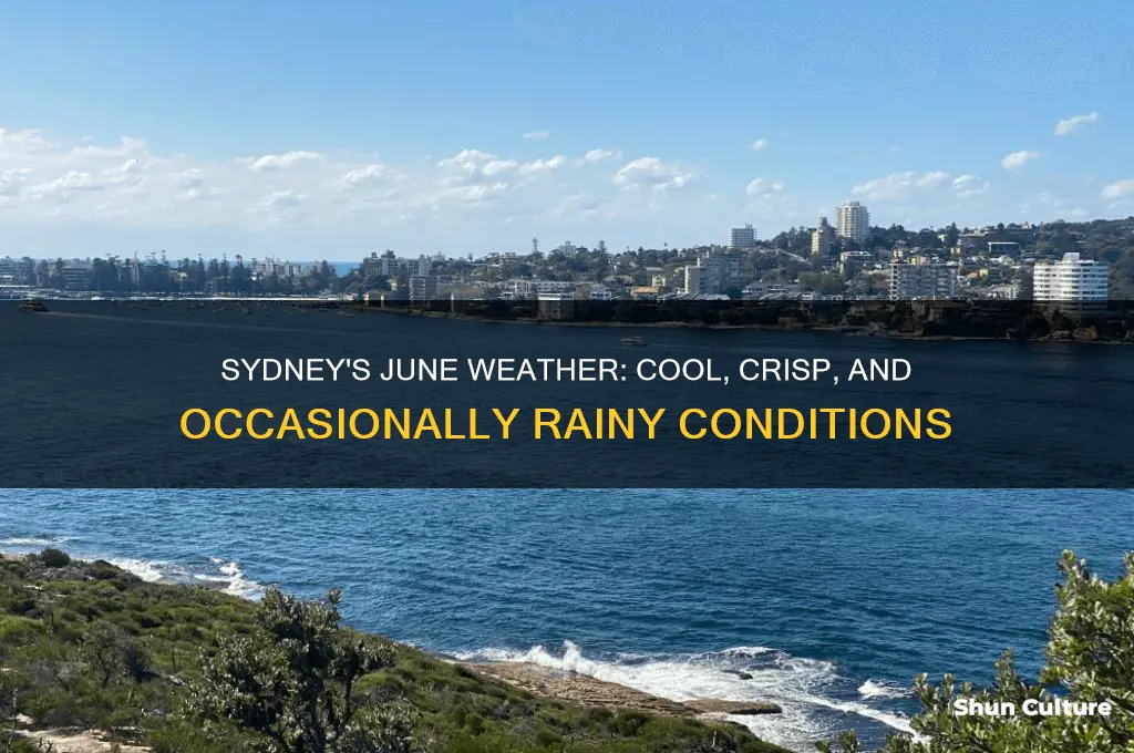 what is the weather like in sydney australia in june