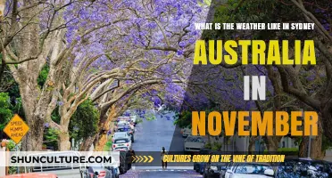Sydney's November Weather: Warmth, Sunshine, and Spring's Final Embrace