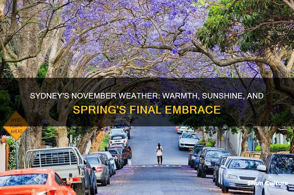 what is the weather like in sydney australia in november