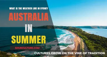 Sydney's Summer Weather: Hot, Sunny, and Beach-Ready Conditions Explained