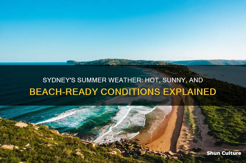 what is the weather like in sydney australia in summer