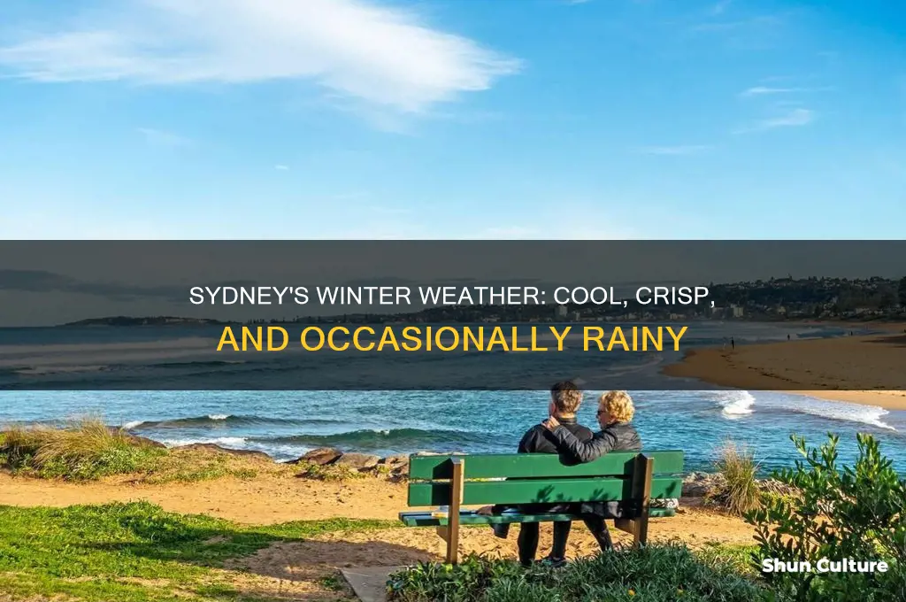 what is the weather like in sydney australia in winter