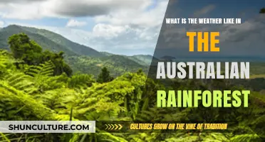 Exploring the Climate of Australia's Lush Rainforest Ecosystem
