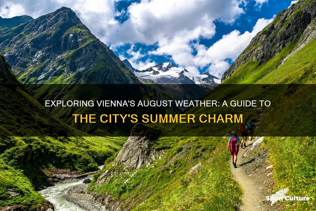 what is the weather like in vienna austria in august