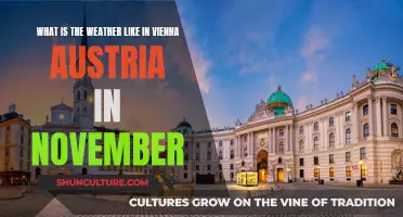 Exploring November's Vienna: A Weather Guide