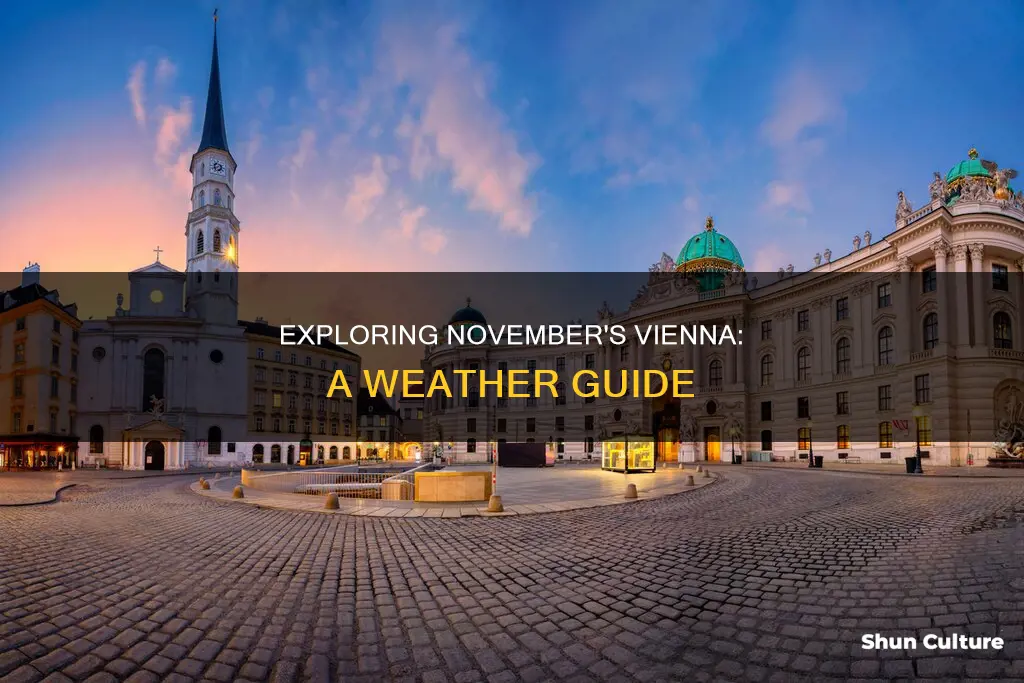 what is the weather like in vienna austria in november