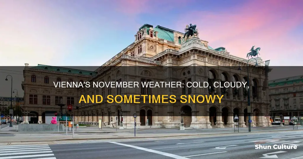 what is the weather like in vienna austria in november