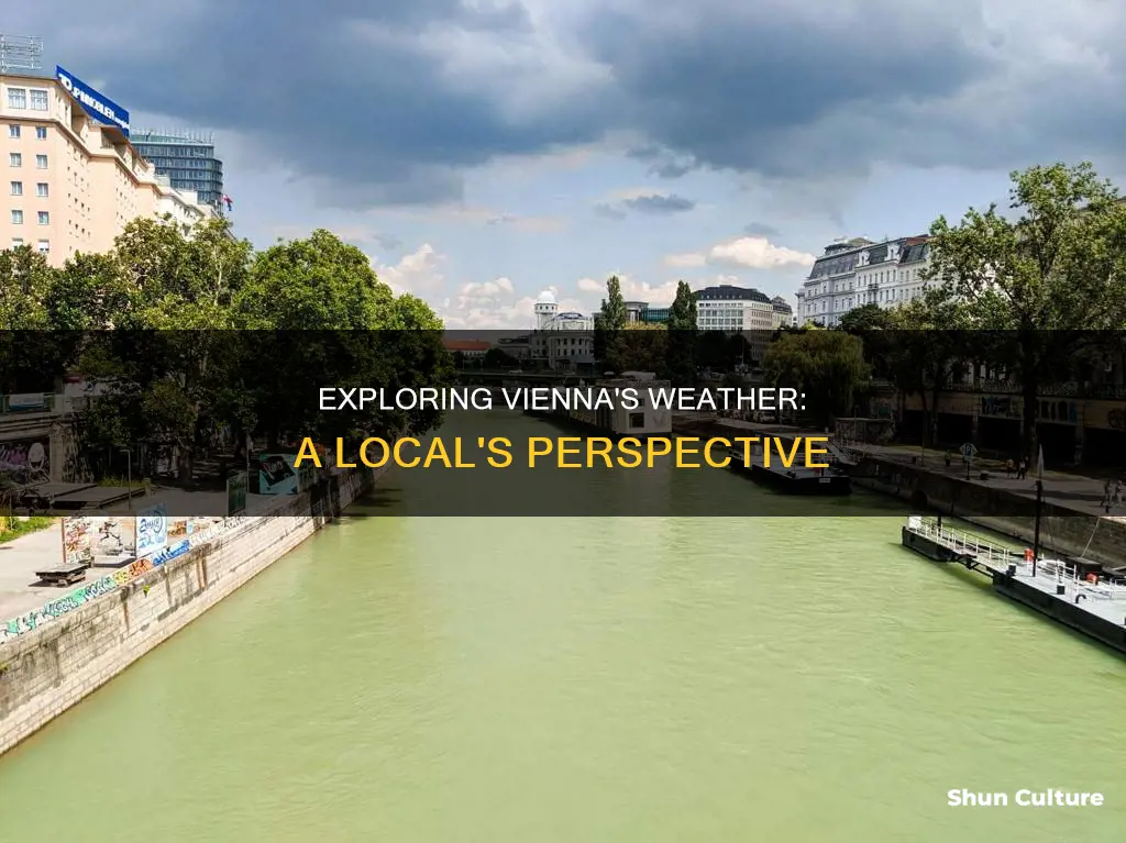 what is the weather like in vienna austria