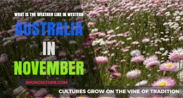 Western Australia's November Weather: Sunny and Warm