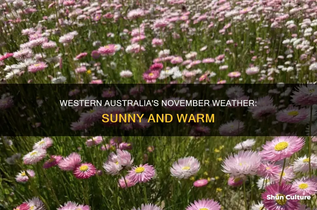 what is the weather like in western australia in november
