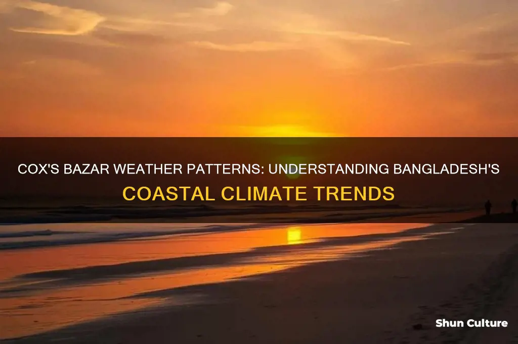 what is the weather pattern in cox