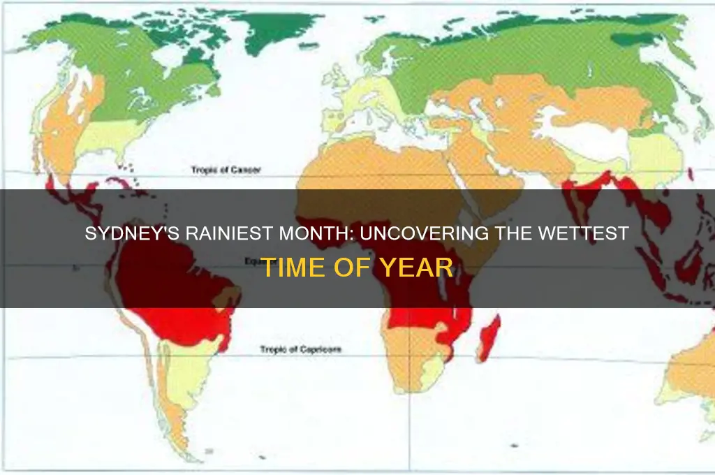 what is the wettest month in sydney australia