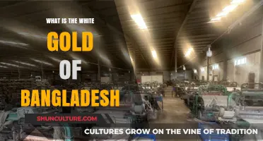 The White Gold of Bangladesh: Unveiling the Jute Industry's Legacy
