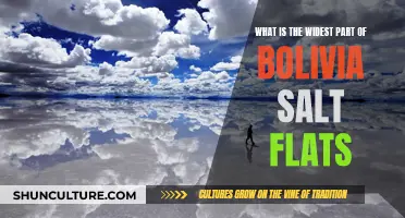 Exploring the Vast Expanse of Bolivia's Salt Flats