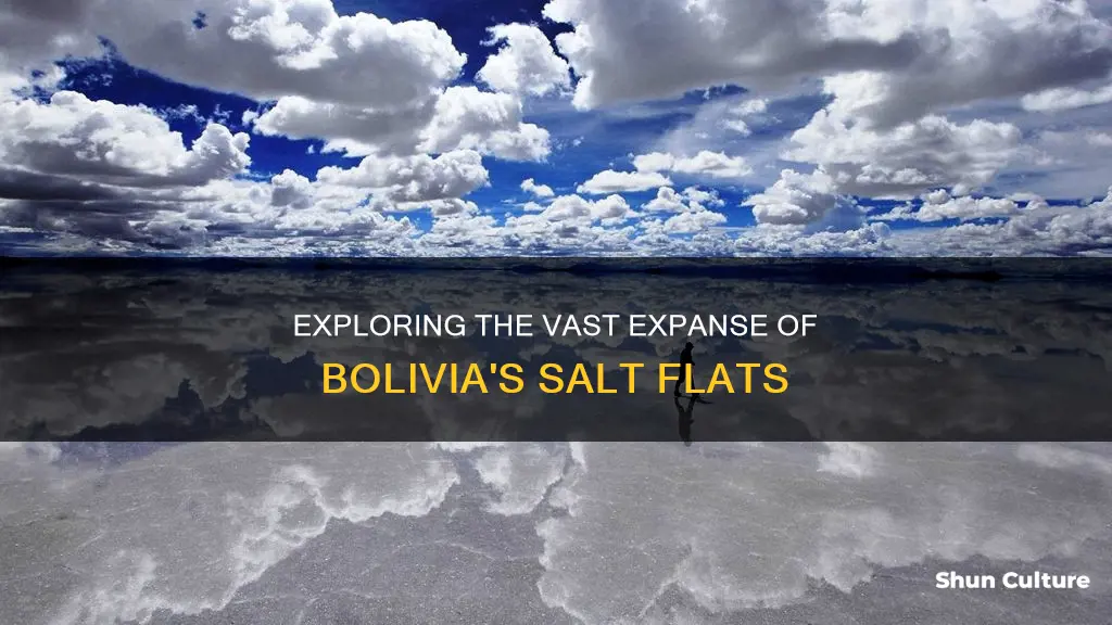 what is the widest part of bolivia salt flats