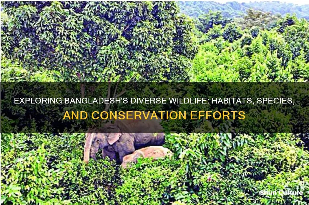 what is the wildlife in bangladesh