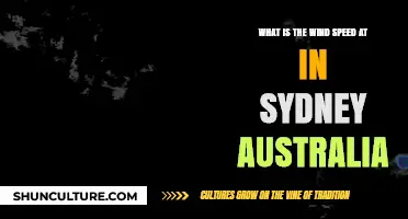 Sydney's Wind Speed: Understanding the Breeze in Australia's Iconic City