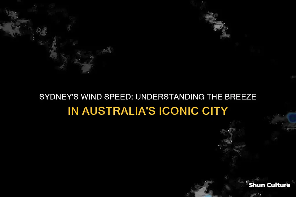 what is the wind speed at in sydney australia