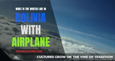 Exploring Bolivia's Winter Wonderland by Airplane