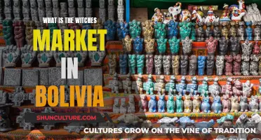 Bolivia's Witch Market: A Mystical Shopping Experience