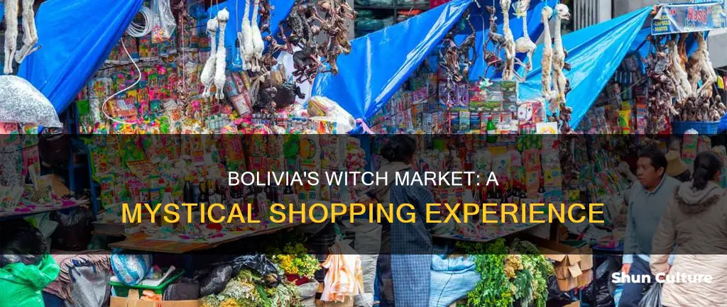 what is the witches market in bolivia