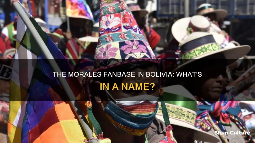 what is the word for a morales supporter in bolivia