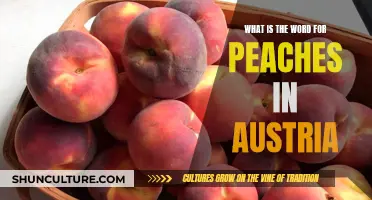 A Sweet Journey: Discovering Austria's Peach Terminology