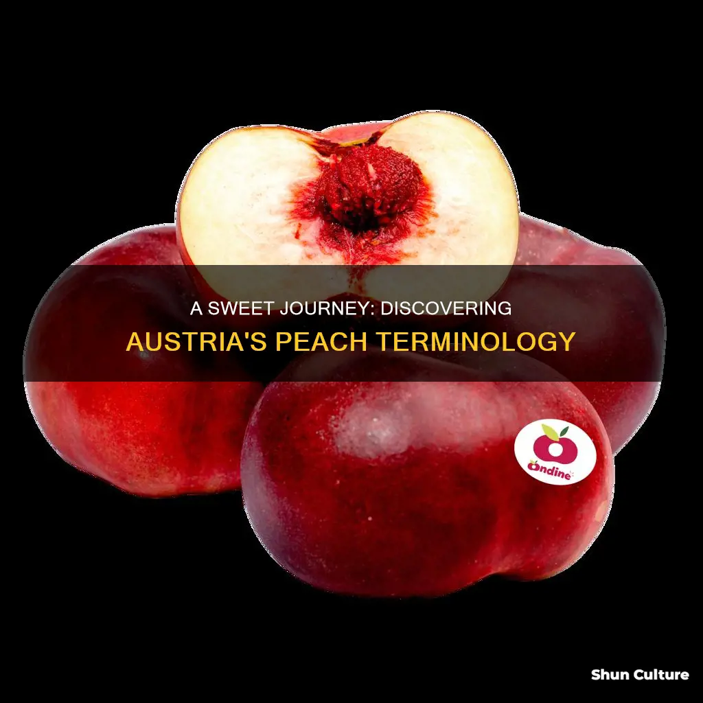 what is the word for peaches in austria